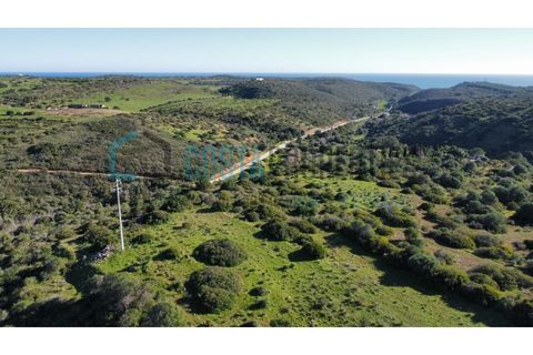 Helårsgrund i Sagres, Faro, Sagres - € 20.000 | Ref: CP-T2426 - foto 5