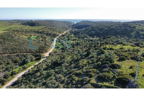 Helårsgrund i Sagres, Faro, Sagres - € 20.000 | Ref: CP-T2426 - foto 6