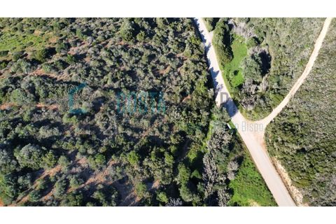 Helårsgrund i Sagres, Faro, Sagres - € 20.000 | Ref: CP-T2426 - foto 7