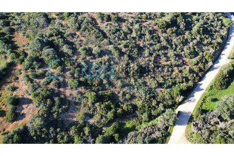 Helårsgrund i Sagres, Faro, Sagres - € 20.000 | Ref: CP-T2426 - foto 8