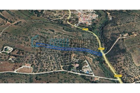 Helårsgrund i Sagres, Faro, Sagres - € 20.000 | Ref: CP-T2426 - foto 9