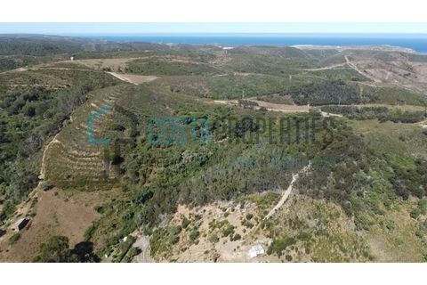 Ruinere i Bordeira, Faro, Bordeira - € 129.999 | Ref: CP-R2402 - foto 15
