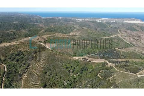 Ruinere i Bordeira, Faro, Bordeira - € 129.999 | Ref: CP-R2402 - foto 22