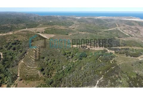Ruinere i Bordeira, Faro, Bordeira - € 129.999 | Ref: CP-R2402 - foto 24