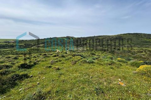 Helårsgrund i Sagres, Faro, Sagres - € 50.000 | Ref: CP-T2411 - foto 6