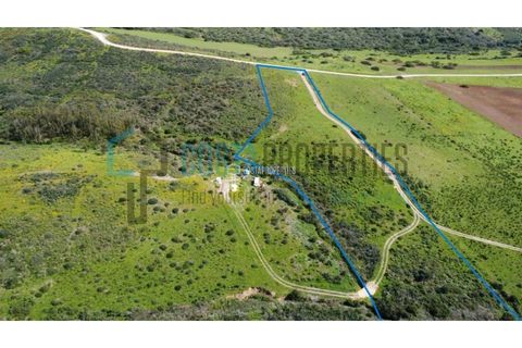 Helårsgrund i Sagres, Faro, Sagres - € 50.000 | Ref: CP-T2411 - foto 17