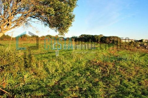 Helårsgrund i Sagres, Faro, Sagres - € 50.000 | Ref: CP-T1816 - foto 3