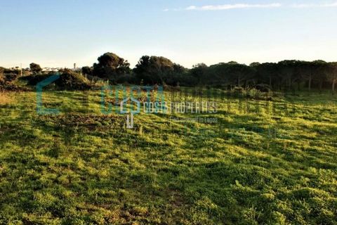 Helårsgrund i Sagres, Faro, Sagres - € 50.000 | Ref: CP-T1816 - foto 5