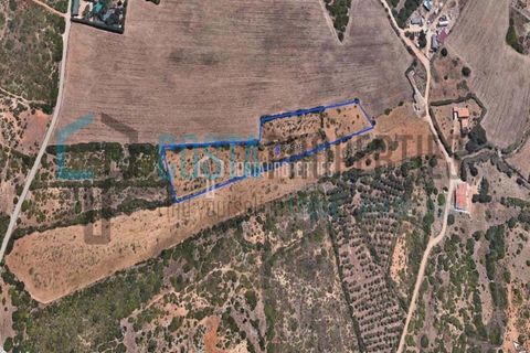 Helårsgrund i Sagres, Faro, Sagres - € 50.000 | Ref: CP-T1816 - foto 8
