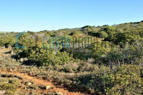Helårsgrund i Sagres, Faro, Sagres - € 190.000 | Ref: CP-T1915 - foto 6