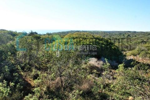 Helårsgrund i Sagres, Faro, Sagres - € 190.000 | Ref: CP-T1915 - foto 9