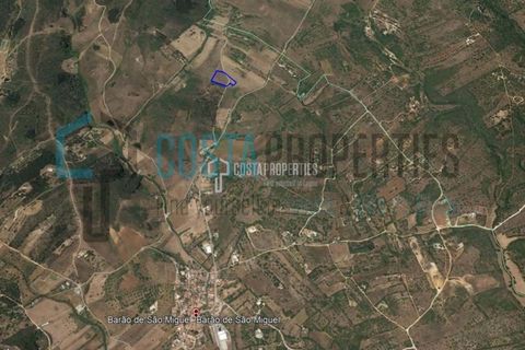 Helårsgrund i Sagres, Faro, Sagres - € 59.000 | Ref: CP-T2123 - foto 3