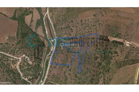 Helårsgrund i Sagres, Faro, Sagres - € 59.000 | Ref: CP-T2139 - foto 10