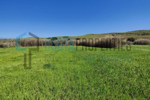 Helårsgrund i Sagres, Faro, Sagres - € 76.000 | Ref: CP-T2210 - foto 15