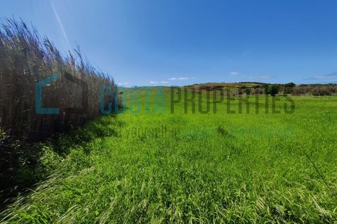 Helårsgrund i Sagres, Faro, Sagres - € 76.000 | Ref: CP-T2210 - foto 17