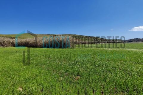 Helårsgrund i Sagres, Faro, Sagres - € 76.000 | Ref: CP-T2210 - foto 22