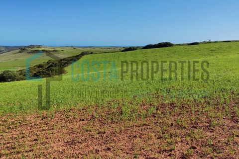 Helårsgrund i Budens, Faro, Budens - € 28.000 | Ref: CP-T2204 - foto 2