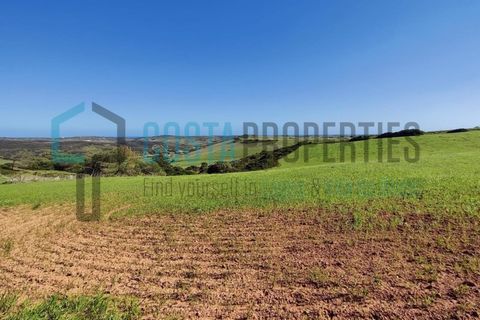 Helårsgrund i Budens, Faro, Budens - € 28.000 | Ref: CP-T2204 - foto 8