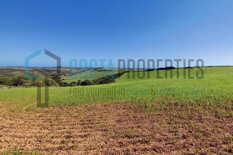 Helårsgrund i Budens, Faro, Budens - € 28.000 | Ref: CP-T2204 - foto 9