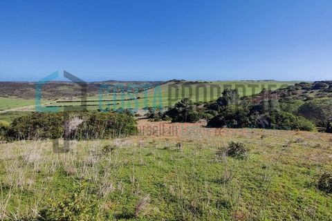 Helårsgrund i Budens, Faro, Budens - € 28.000 | Ref: CP-T2204 - foto 11