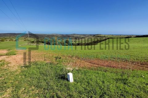 Helårsgrund i Budens, Faro, Budens - € 28.000 | Ref: CP-T2204 - foto 13