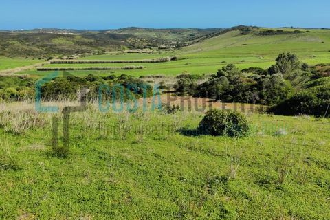 Helårsgrund i Budens, Faro, Budens - € 28.000 | Ref: CP-T2204 - foto 15