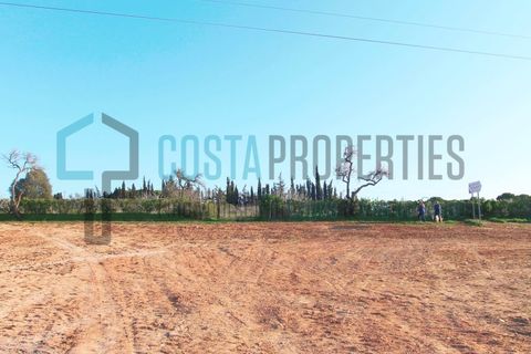 Helårsgrund i Luz, Faro, Luz - € 490.000 | Ref: CP-T2202 - foto 9