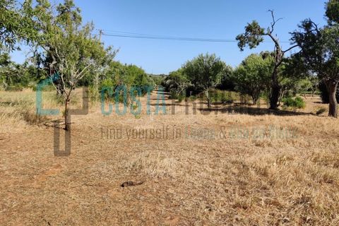 Helårsgrund i Sagres, Faro, Sagres - € 150.000 | Ref: CP-T2131 - foto 3