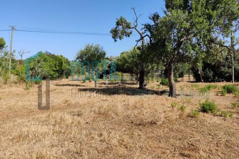 Helårsgrund i Sagres, Faro, Sagres - € 150.000 | Ref: CP-T2131 - foto 4