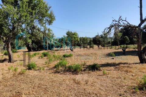 Helårsgrund i Sagres, Faro, Sagres - € 150.000 | Ref: CP-T2131 - foto 5