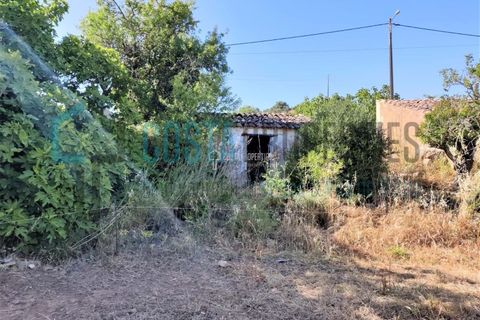 Helårsgrund i Sagres, Faro, Sagres - € 150.000 | Ref: CP-T2131 - foto 8