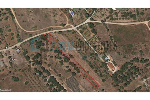 Helårsgrund i Sagres, Faro, Sagres - € 150.000 | Ref: CP-T2131 - foto 9