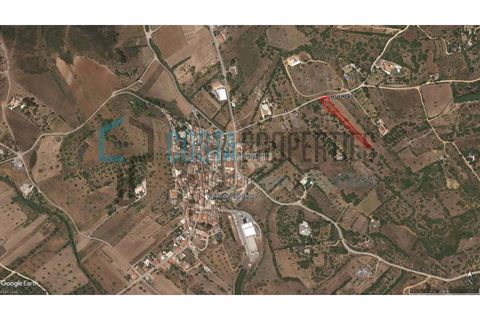 Helårsgrund i Sagres, Faro, Sagres - € 150.000 | Ref: CP-T2131 - foto 10