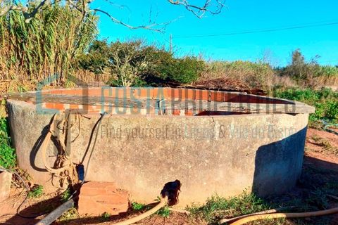 Helårsgrund i Sagres, Faro, Sagres - € 65.000 | Ref: CP-T2140 - foto 6