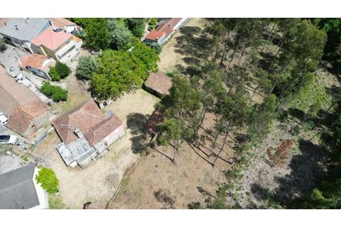 Farm i Viseu, Viseu, Viseu - € 67.000 | Ref: FIN_8 - foto 7