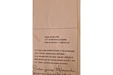Farm i Viseu, Viseu, Viseu - € 67.000 | Ref: FIN_8 - foto 9