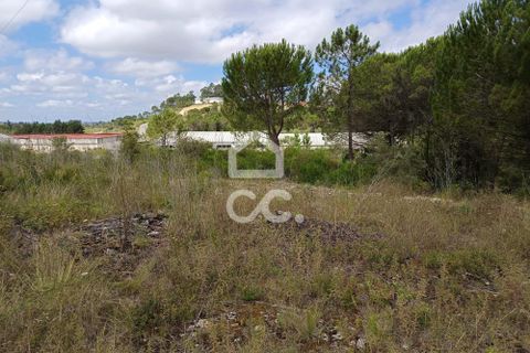 Helårsgrund i Coimbra, Coimbra, Coimbra - € 260.000 | Ref: 385/T/00729 - foto 1