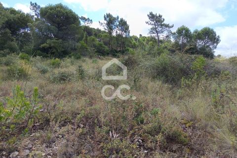 Helårsgrund i Coimbra, Coimbra, Coimbra - € 260.000 | Ref: 385/T/00729 - foto 2