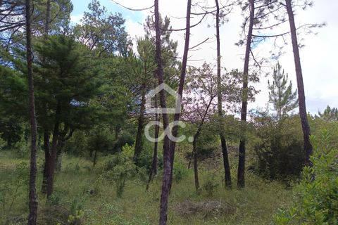 Helårsgrund i Coimbra, Coimbra, Coimbra - € 260.000 | Ref: 385/T/00729 - foto 3