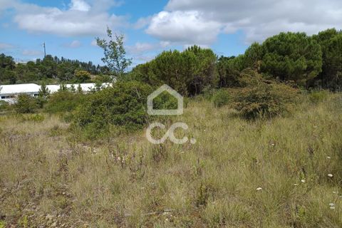 Helårsgrund i Coimbra, Coimbra, Coimbra - € 260.000 | Ref: 385/T/00729 - foto 4
