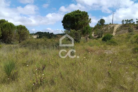 Helårsgrund i Coimbra, Coimbra, Coimbra - € 260.000 | Ref: 385/T/00729 - foto 5