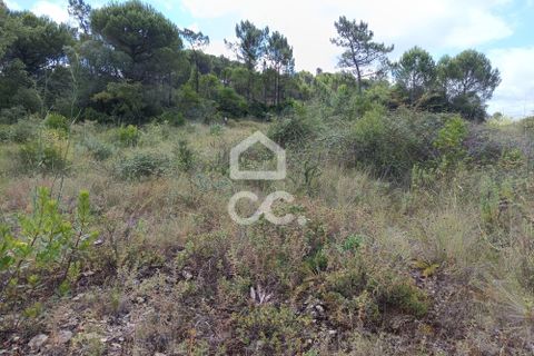 Helårsgrund i Coimbra, Coimbra, Coimbra - € 260.000 | Ref: 385/T/00729 - foto 6