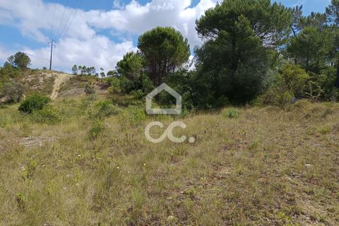 Helårsgrund i Coimbra, Coimbra, Coimbra - € 260.000 | Ref: 385/T/00729 - foto 7