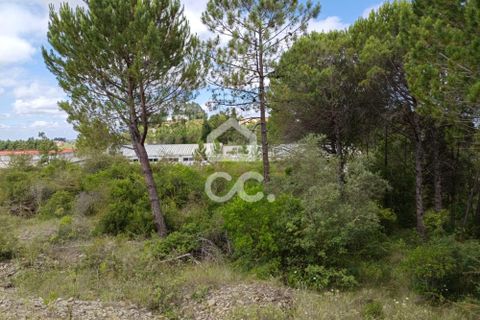 Helårsgrund i Coimbra, Coimbra, Coimbra - € 260.000 | Ref: 385/T/00729 - foto 8