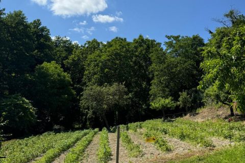 Landejendom i Cessole, Asti, Cessole - € 225.000 | Ref: RU1257 - foto 16