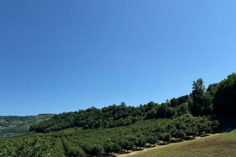 Landejendom i Cessole, Asti, Cessole - € 225.000 | Ref: RU1257 - foto 17