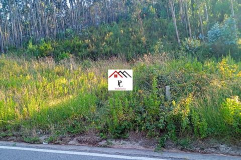 Helårsgrund i Coimbra, Coimbra, Coimbra - € 40.000 | Ref: V856MS - foto 2