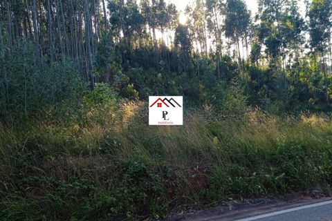 Helårsgrund i Coimbra, Coimbra, Coimbra - € 40.000 | Ref: V856MS - foto 3
