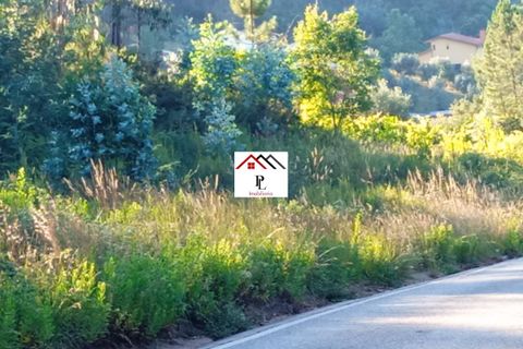 Helårsgrund i Coimbra, Coimbra, Coimbra - € 40.000 | Ref: V856MS - foto 6