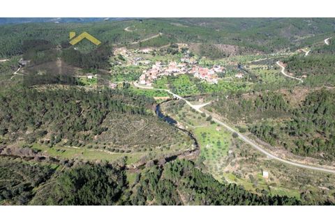 Helårsgrund i Castelo Branco, Castelo Branco, Castelo Branco - € 9.750 | Ref: 4697 - foto 6